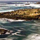 Impressions of Point Lobos